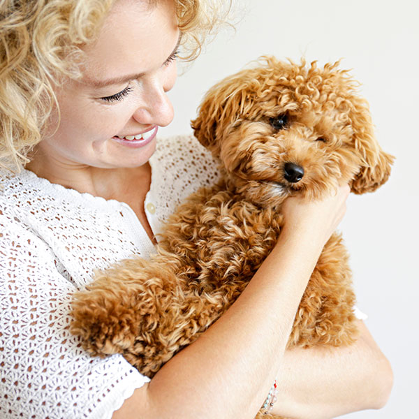 Lady holding toy poodle